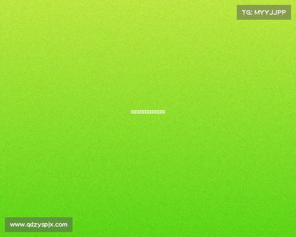 国内各大武术赛事国内武术比赛